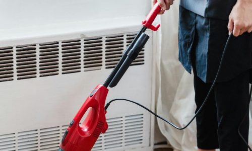 pexels-liliana-drew-9462135